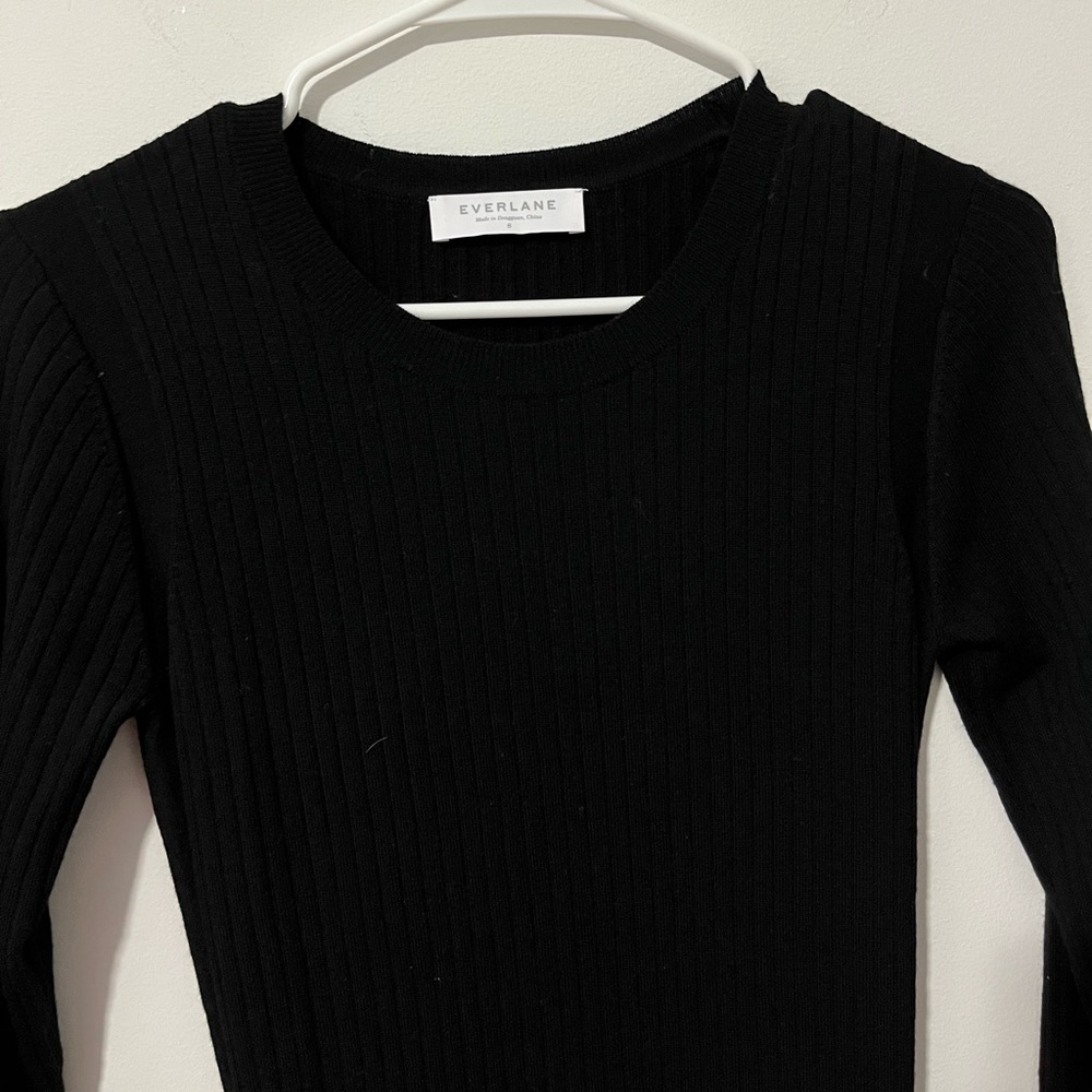 Everlane dress